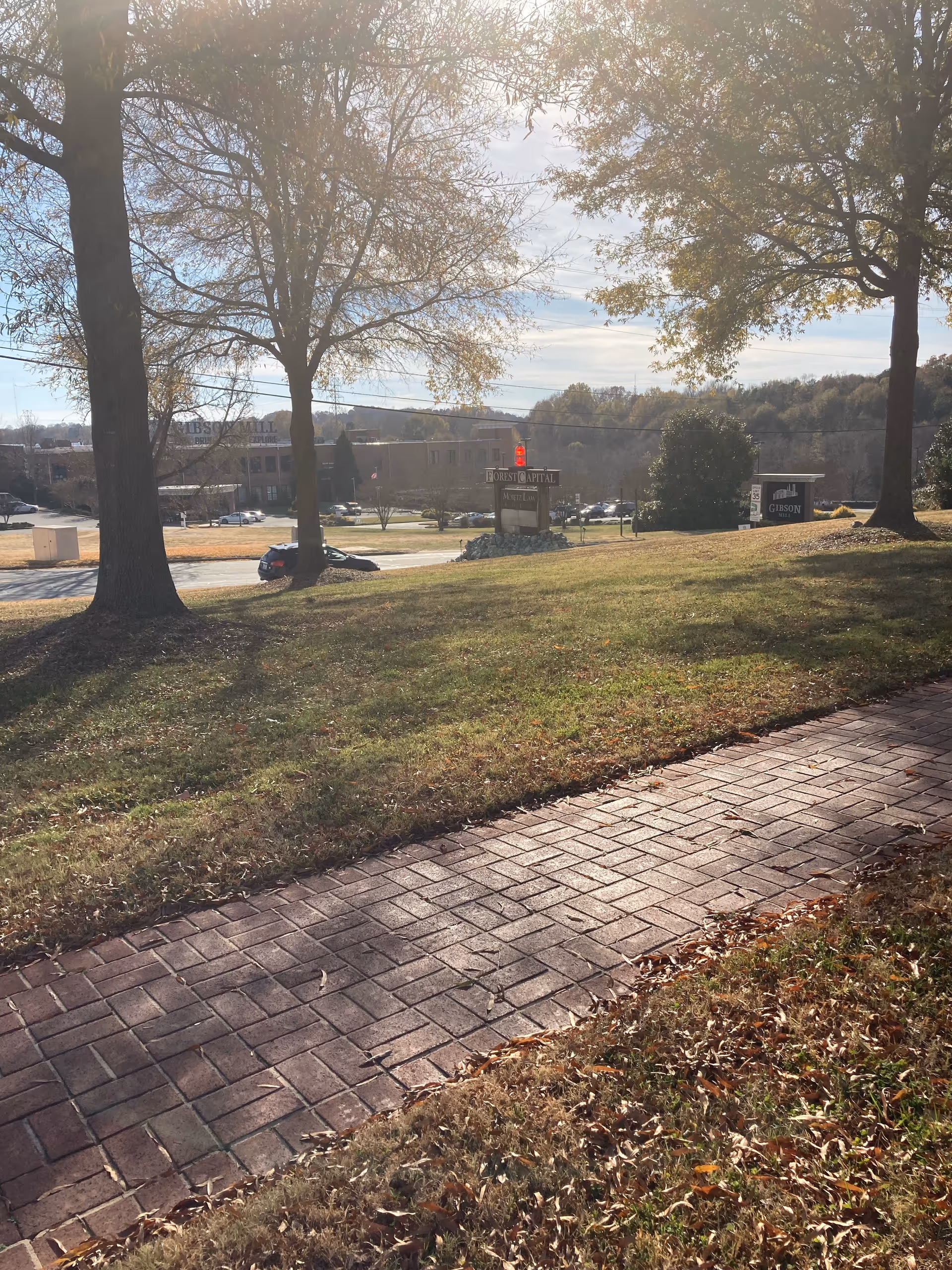 Sunny exterior scene with trees, a brick walkway, and a grassy slope near a building.