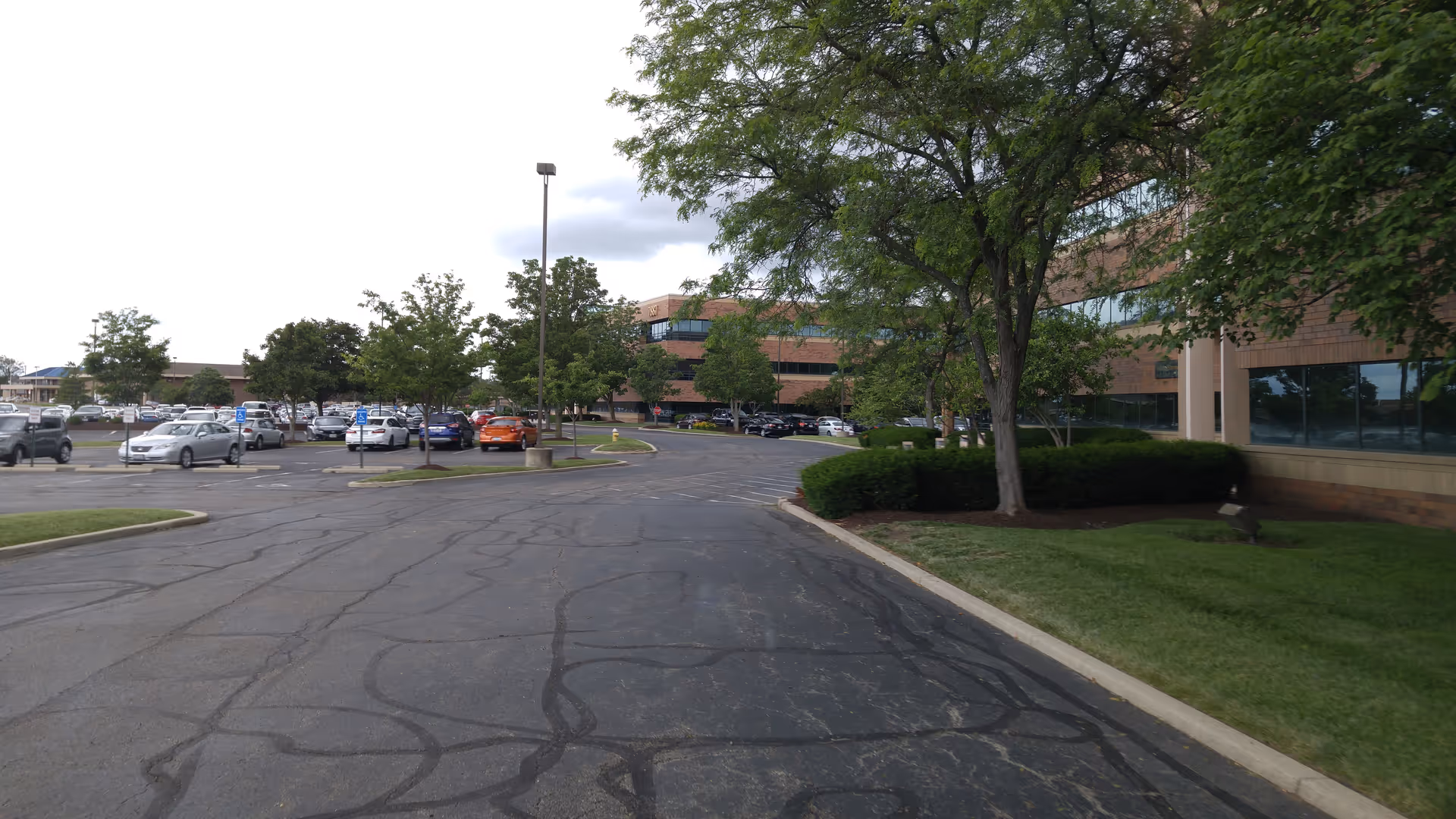 A parking lot beside the hospice building exterior with trees, shrubs, and windows.