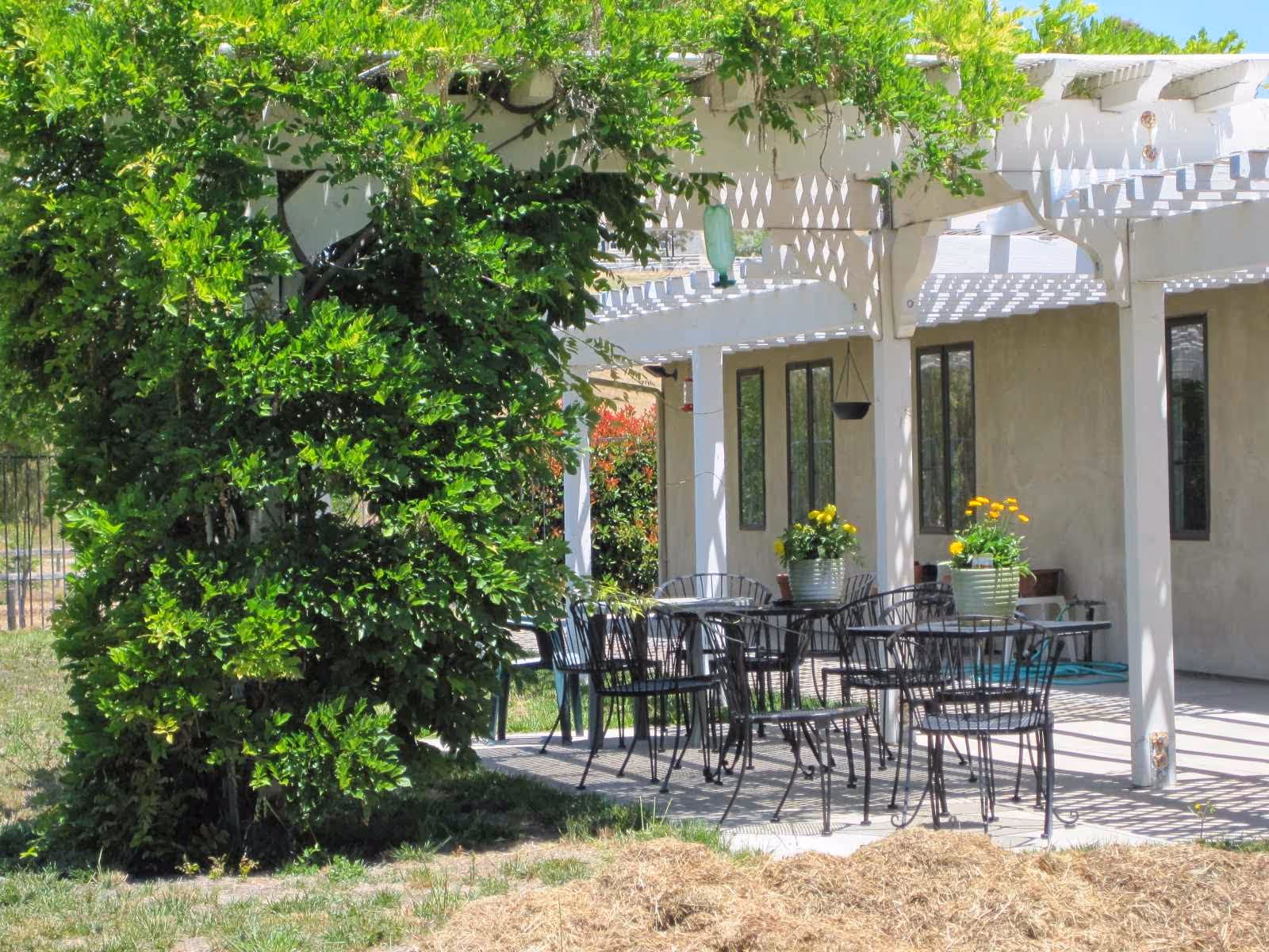 Outdoor patio with metal tables and chairs, potted flowers, under a white pergola beside a building