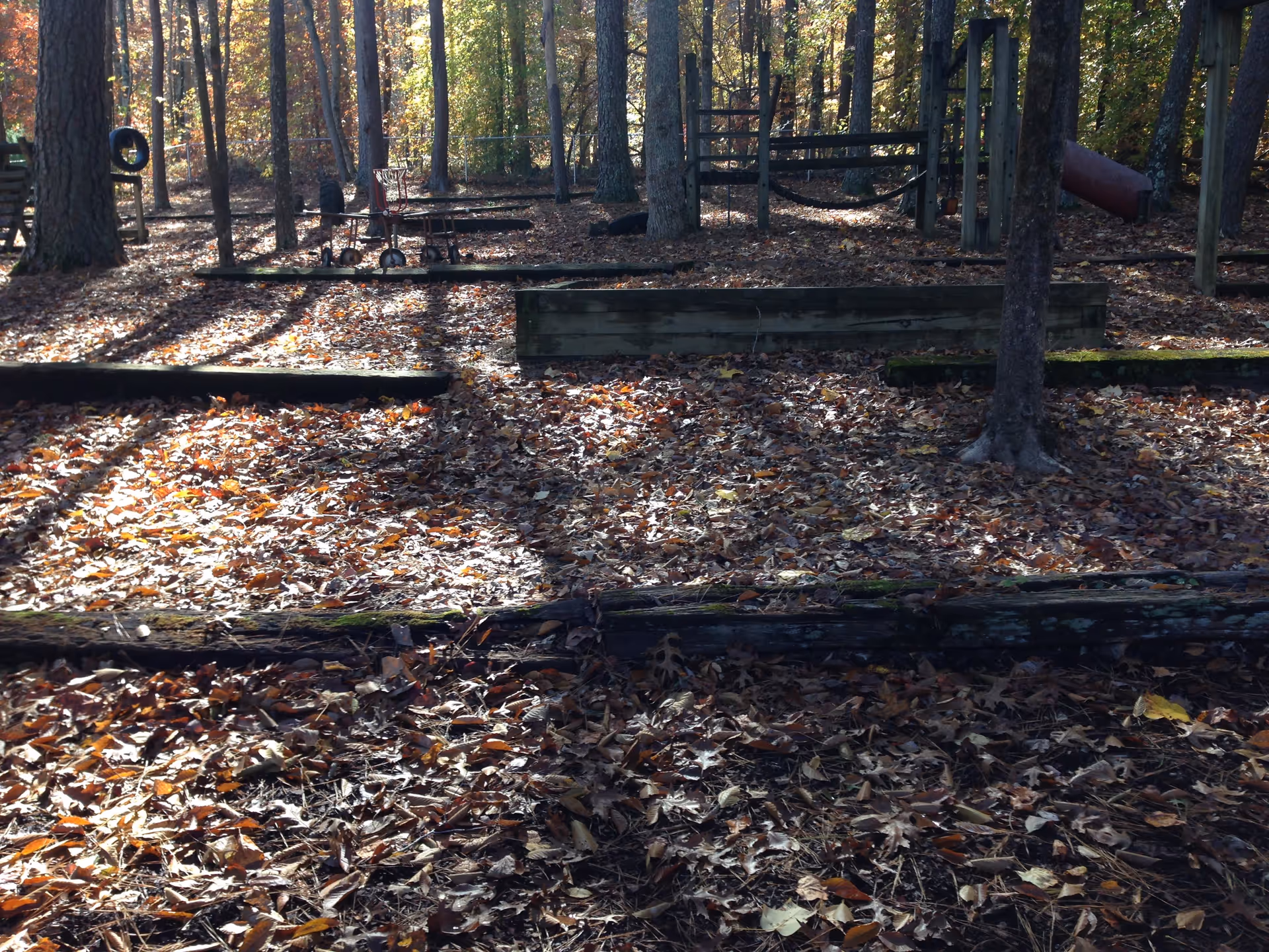 Wooded outdoor area covered in fallen leaves with wooden beams/raised beds and playground structures among the trees.
