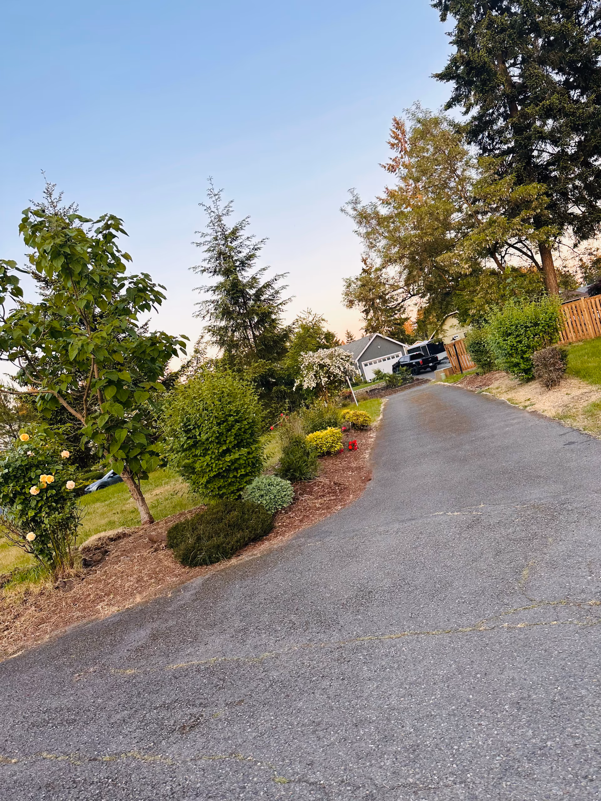 Paved driveway leads to Sanders Estates Adult Family Home with trees and landscaped shrubs.
