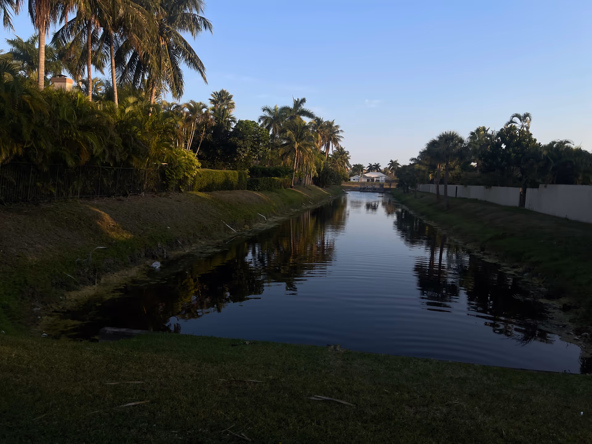 Calm canal bordered by palm trees and grassy banks leading to a distant building.