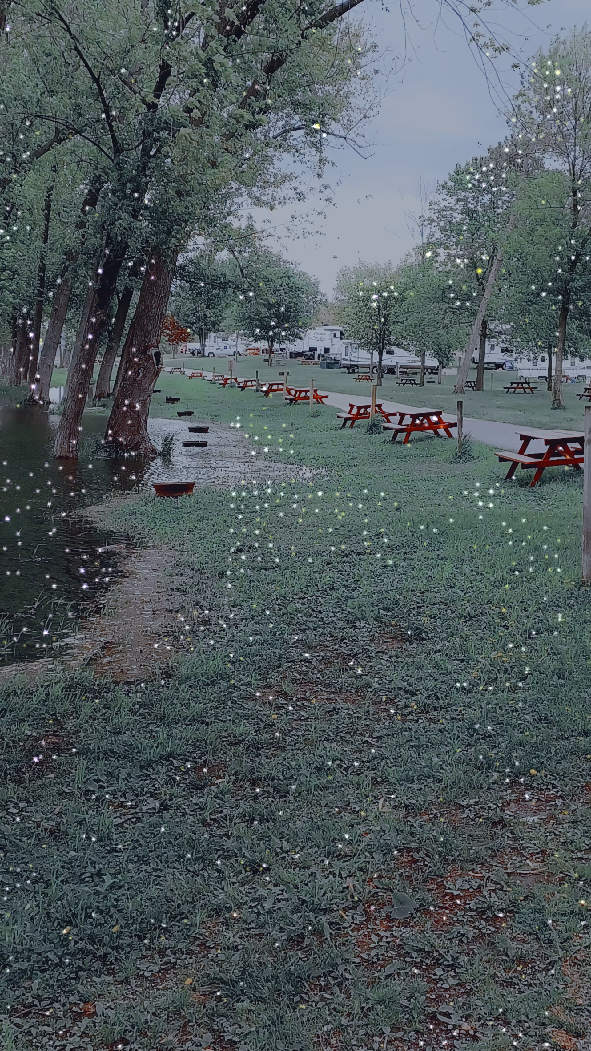 Outdoor park area with several red picnic tables beside a water feature.