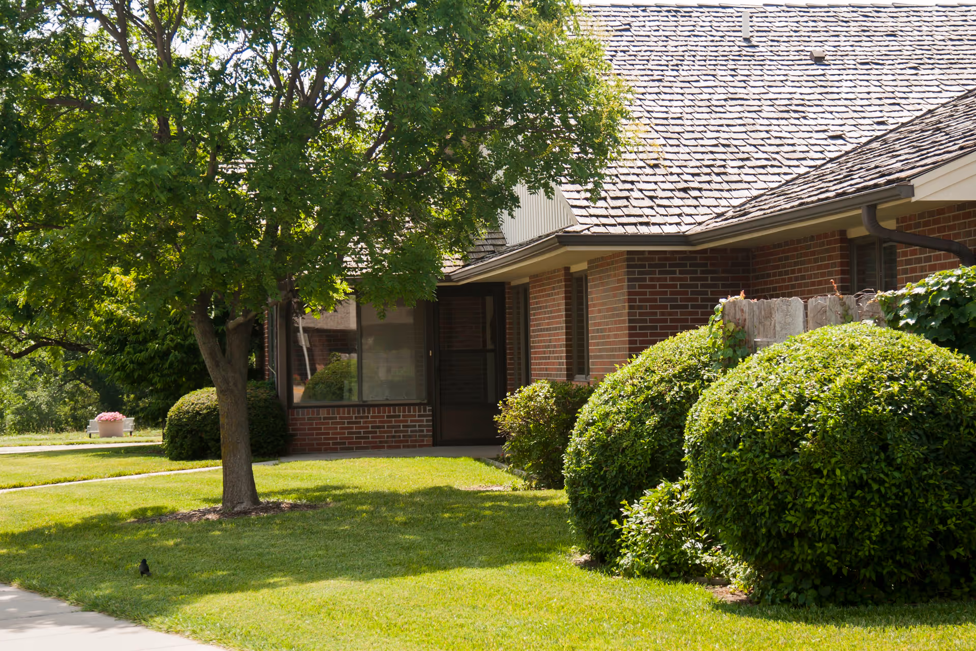 Exterior view of a brick building with a shingled roof, surrounded by green bushes and a tree on a well-maintained lawn under sunlight.