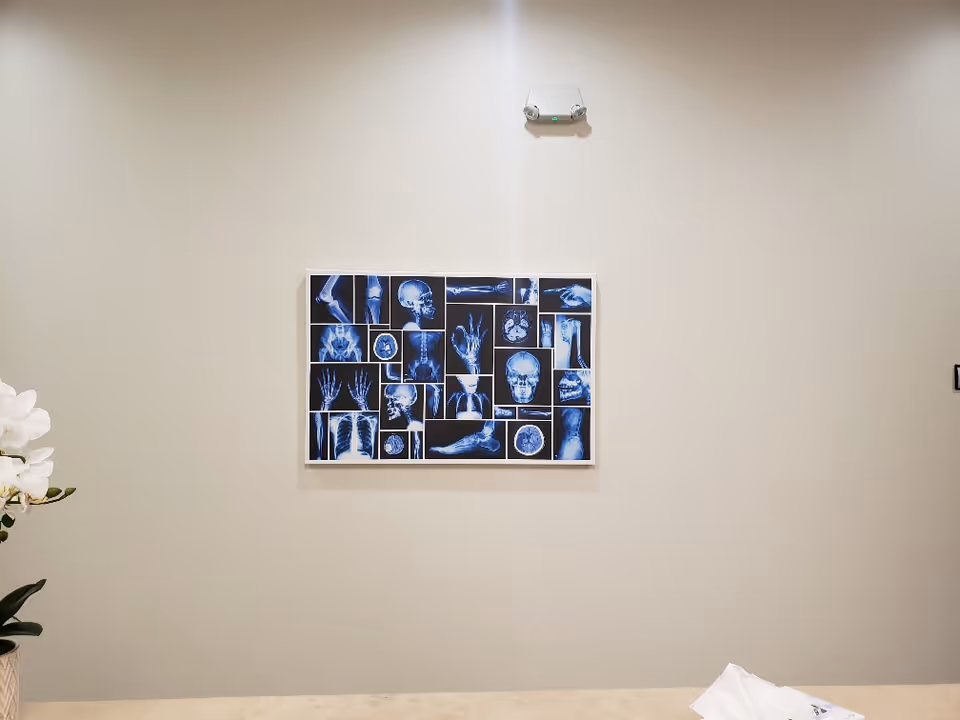 Beige interior wall with blue medical collage frame, small wall camera, plant, and tissue box.