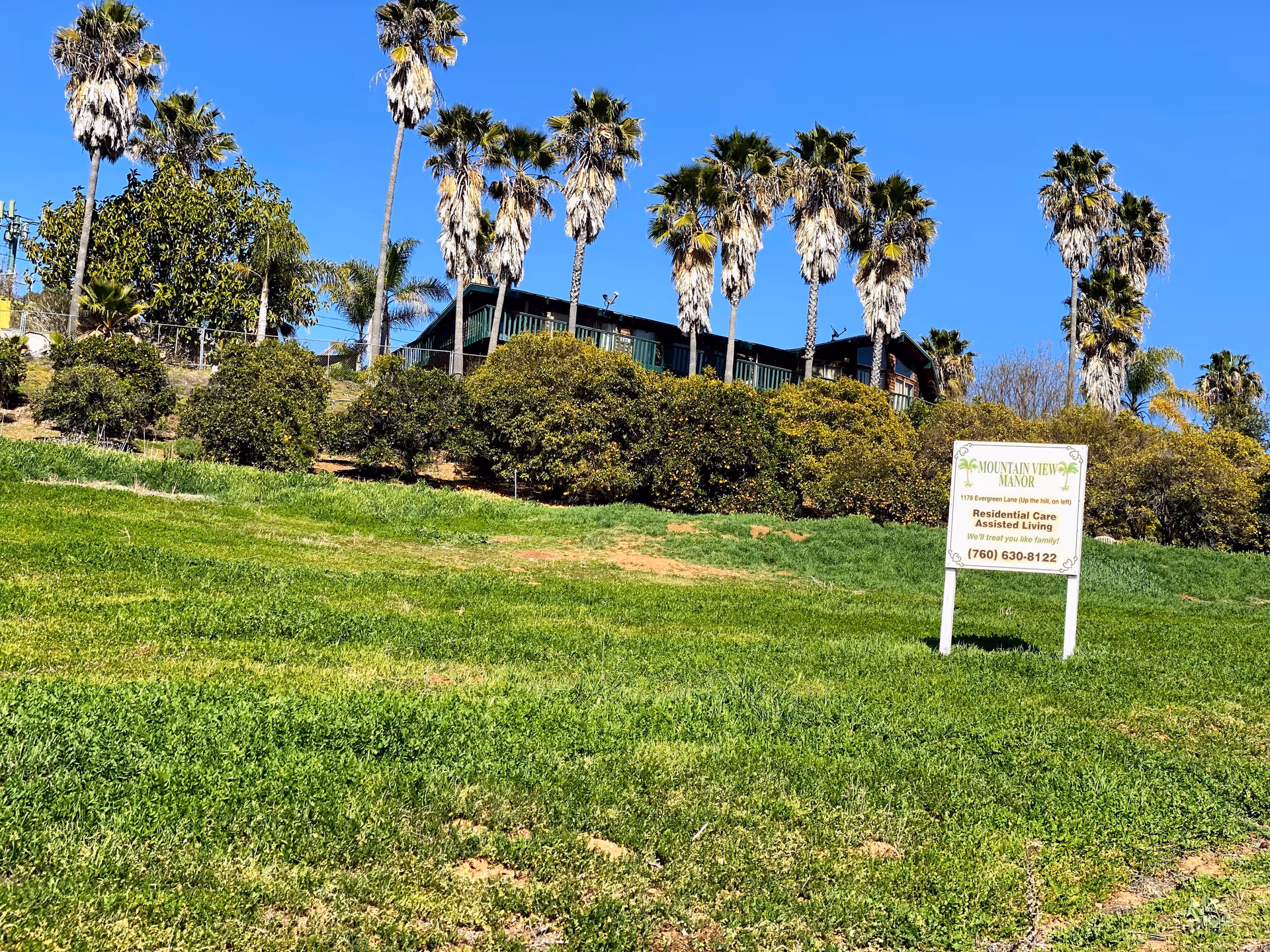 Mountain View Manor Assisted Living exterior on a grassy hill with a sign and palm trees.