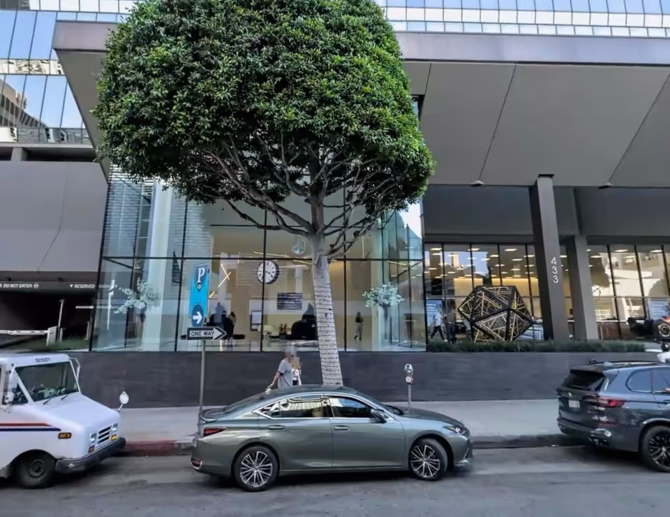 Glass-front commercial building with a large tree, parked cars, and pedestrians.