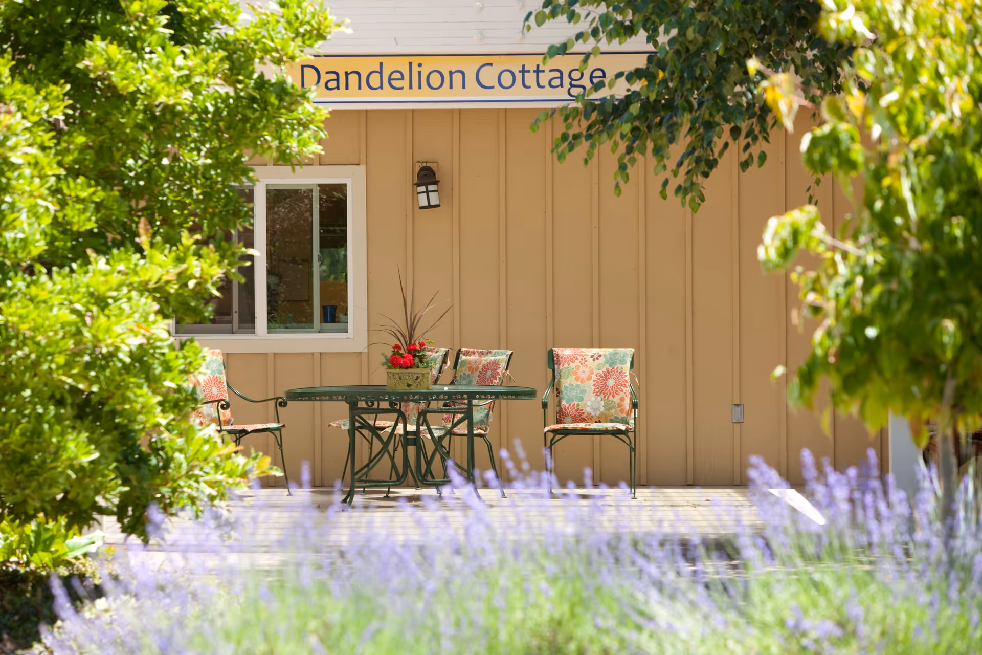 Outdoor patio area with a green metal table and four chairs with floral cushions in front of a beige building labeled 'Dandelion Cottage'. The area is surrounded by green foliage and purple flowers in the foreground.