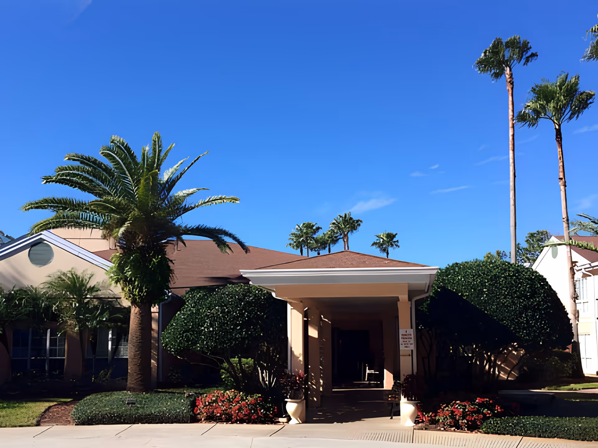 Front entrance of a single-story building with a covered portico, palm trees, and manicured landscaping beneath a clear blue sky.
