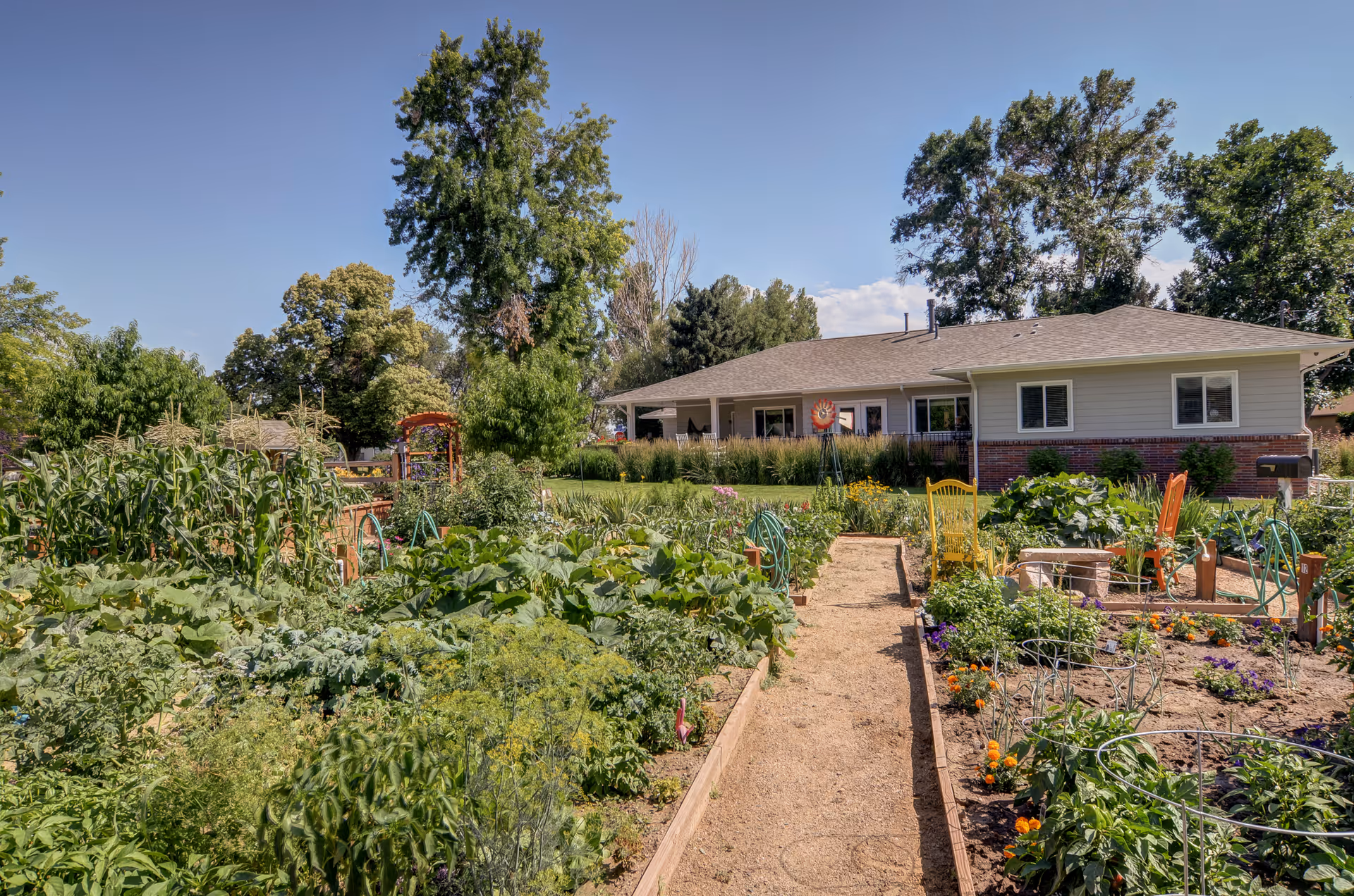 A vibrant garden with various green plants and flowers growing in raised beds along a dirt pathway, with a single-story building in the background under a clear blue sky.