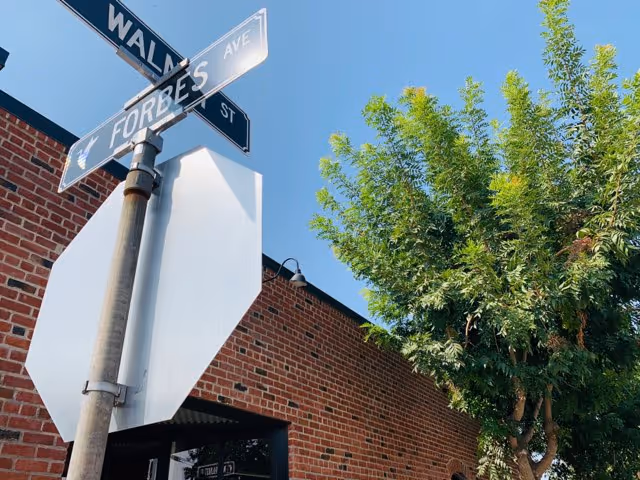 Street corner with brick building, street signs, and a tree under a blue sky.