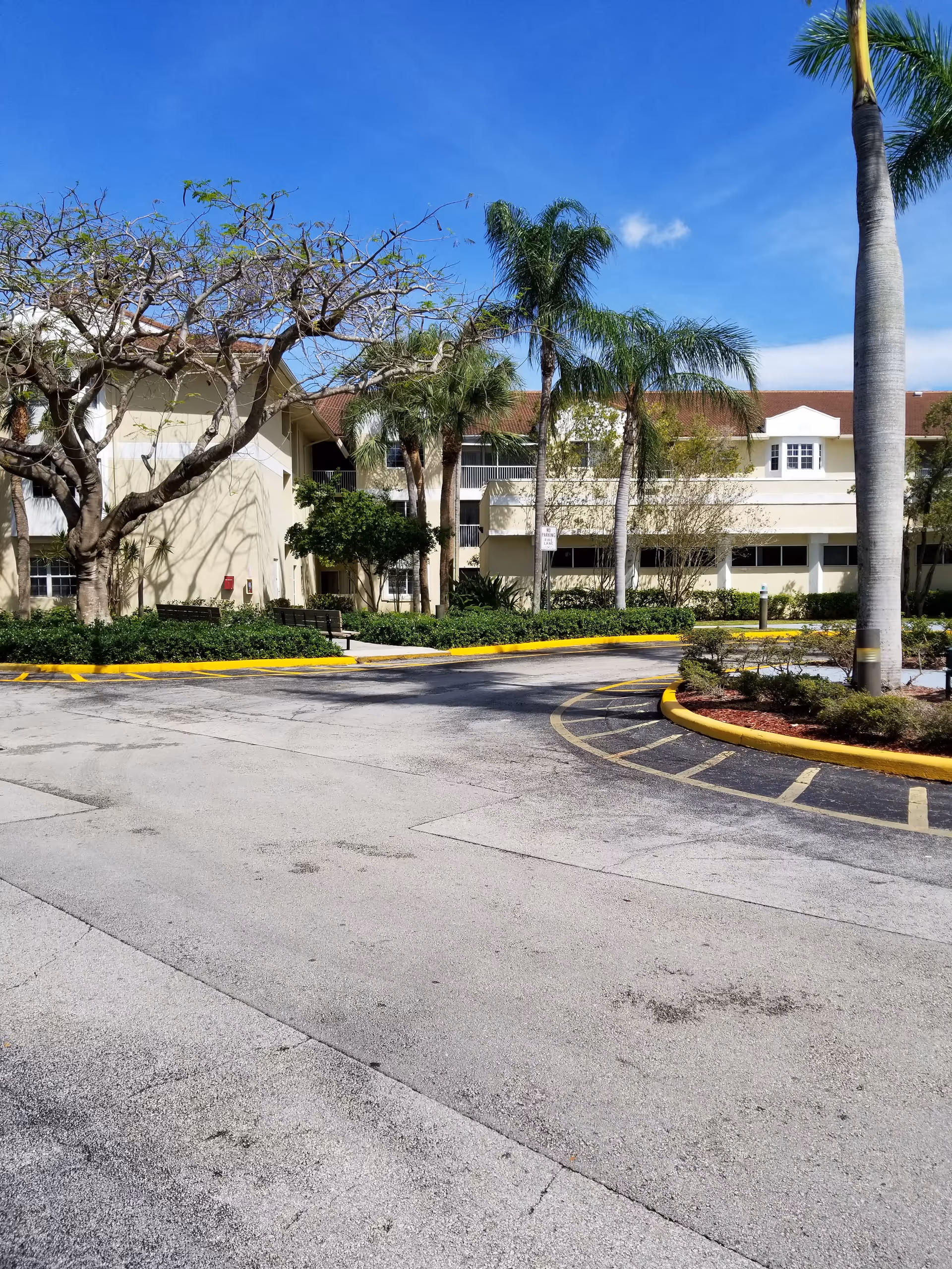 Front exterior view of Springtree Senior Living building with palm trees and curved driveway