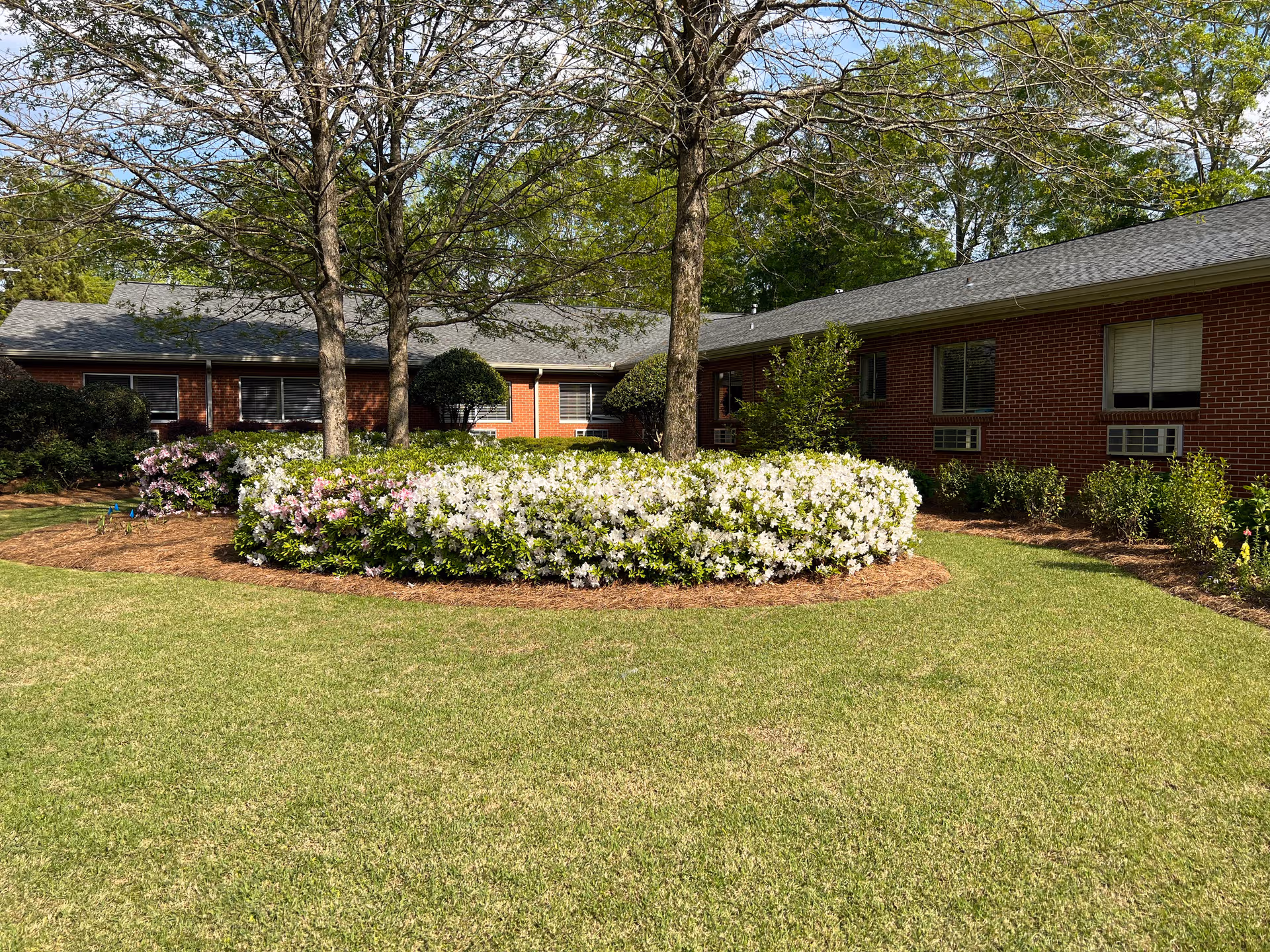 Red brick senior living building with manicured lawn and white flowering bushes in front.