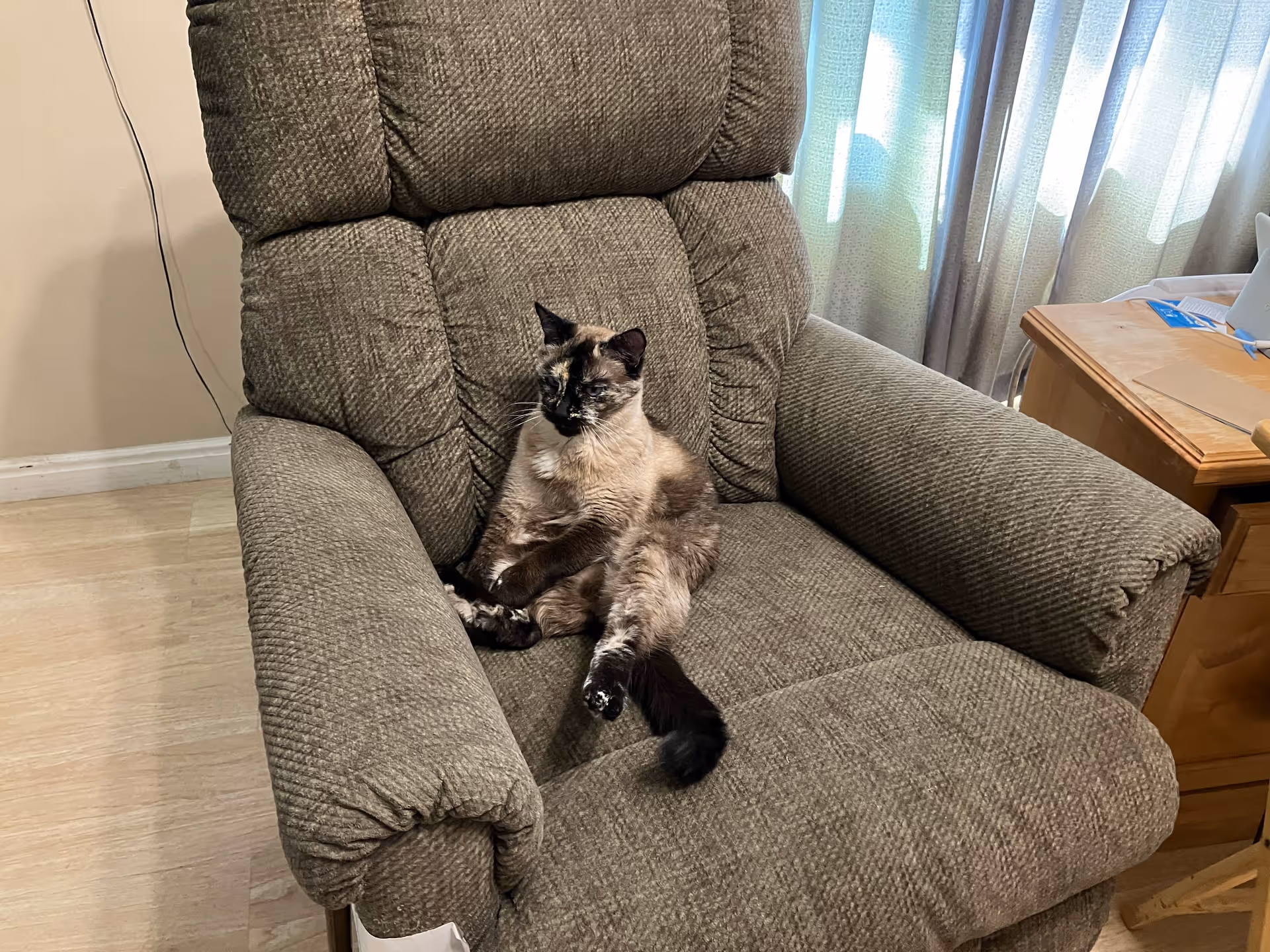 A cat lounges in a brown fabric recliner indoors beside a wooden side table.