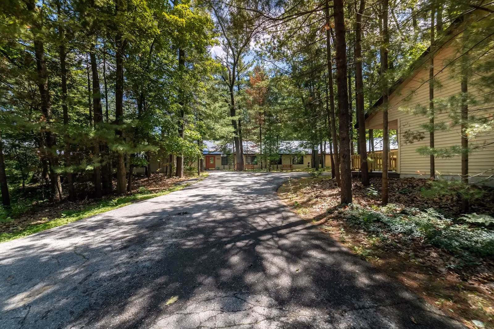 Tree-lined driveway leads to a Woodside Village Apartments building amid dense woodland.
