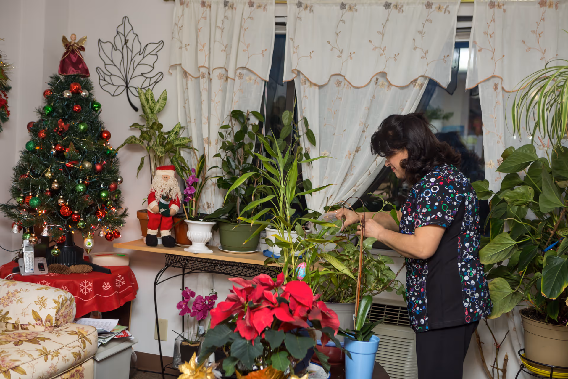 A caregiver tends potted plants beside a Christmas tree in a cozy living room.
