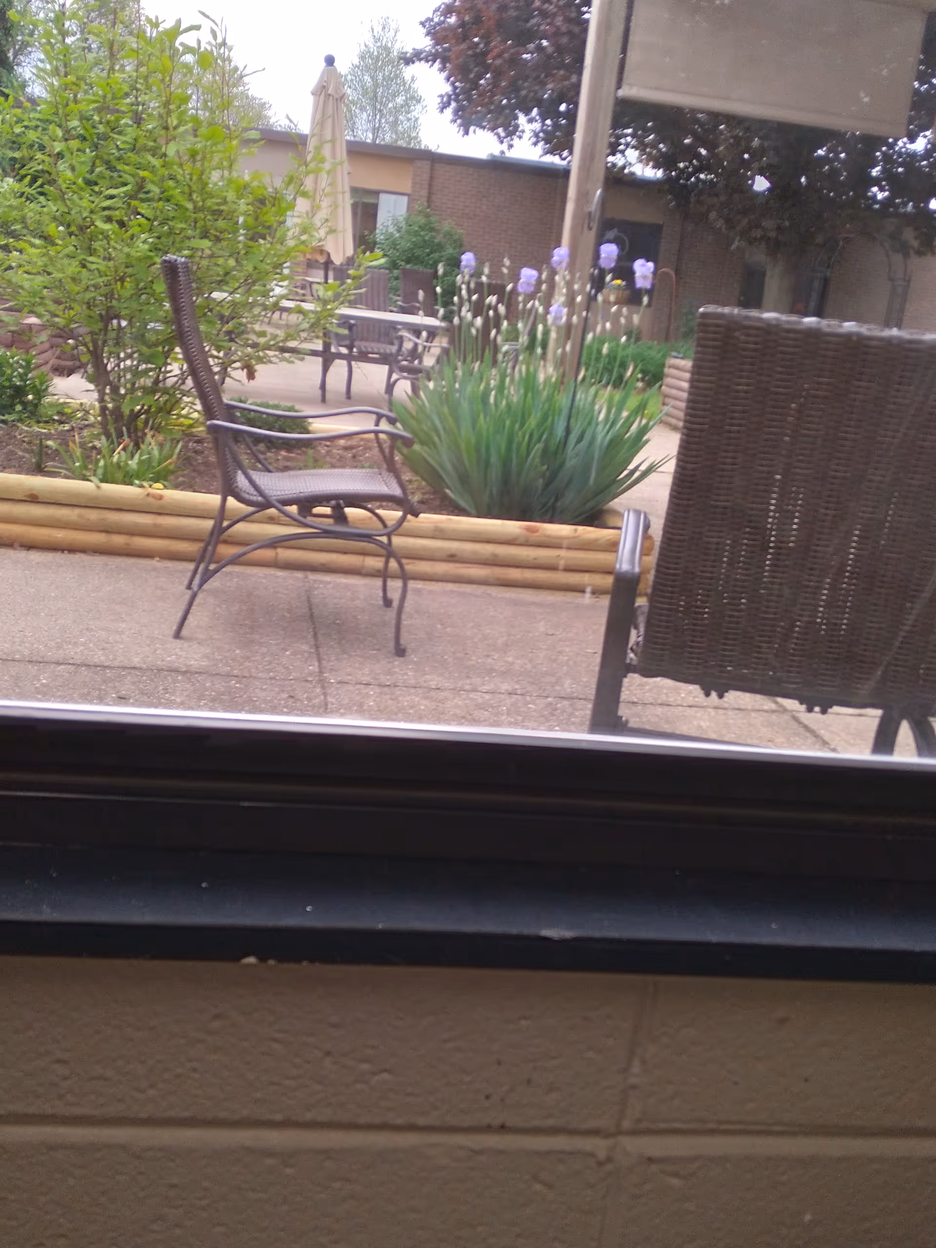 Outdoor courtyard with wicker chairs, planters, and purple irises near a patio.