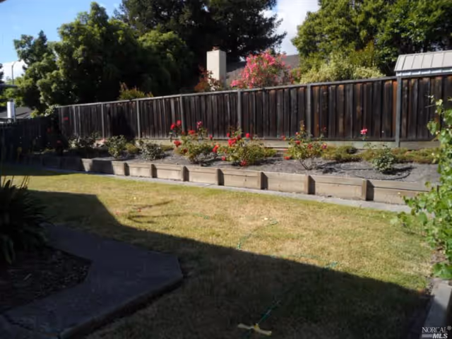 Sunny backyard with a grassy lawn, raised flower beds and a wooden fence.