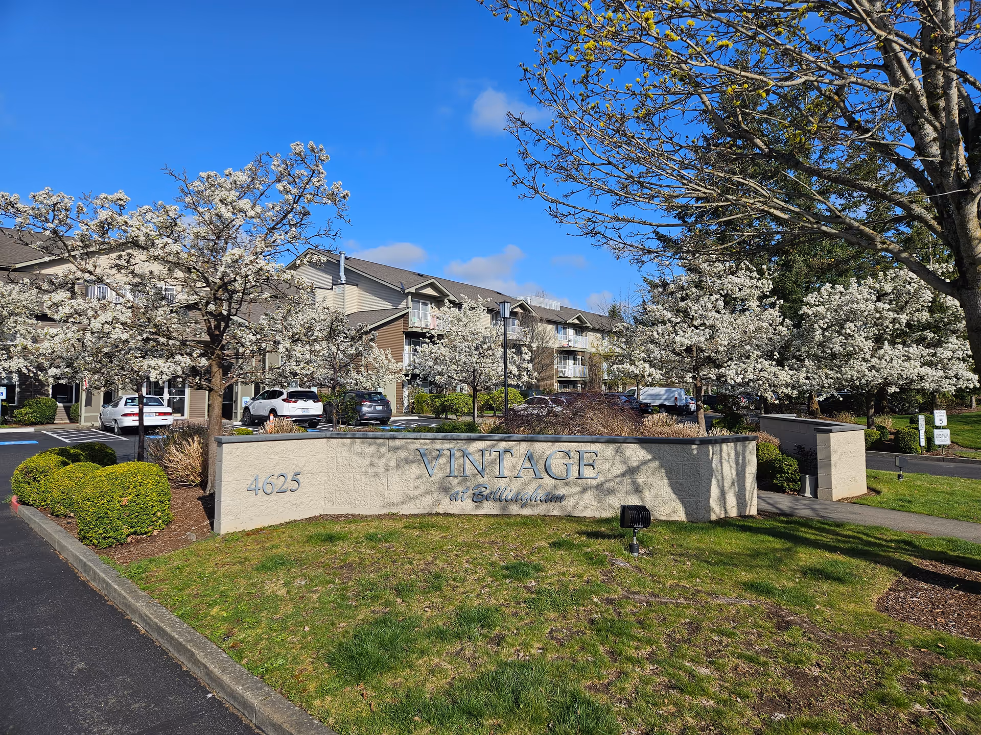 Exterior view of Vintage at Bellingham with blooming trees, a stone sign, and parked cars.