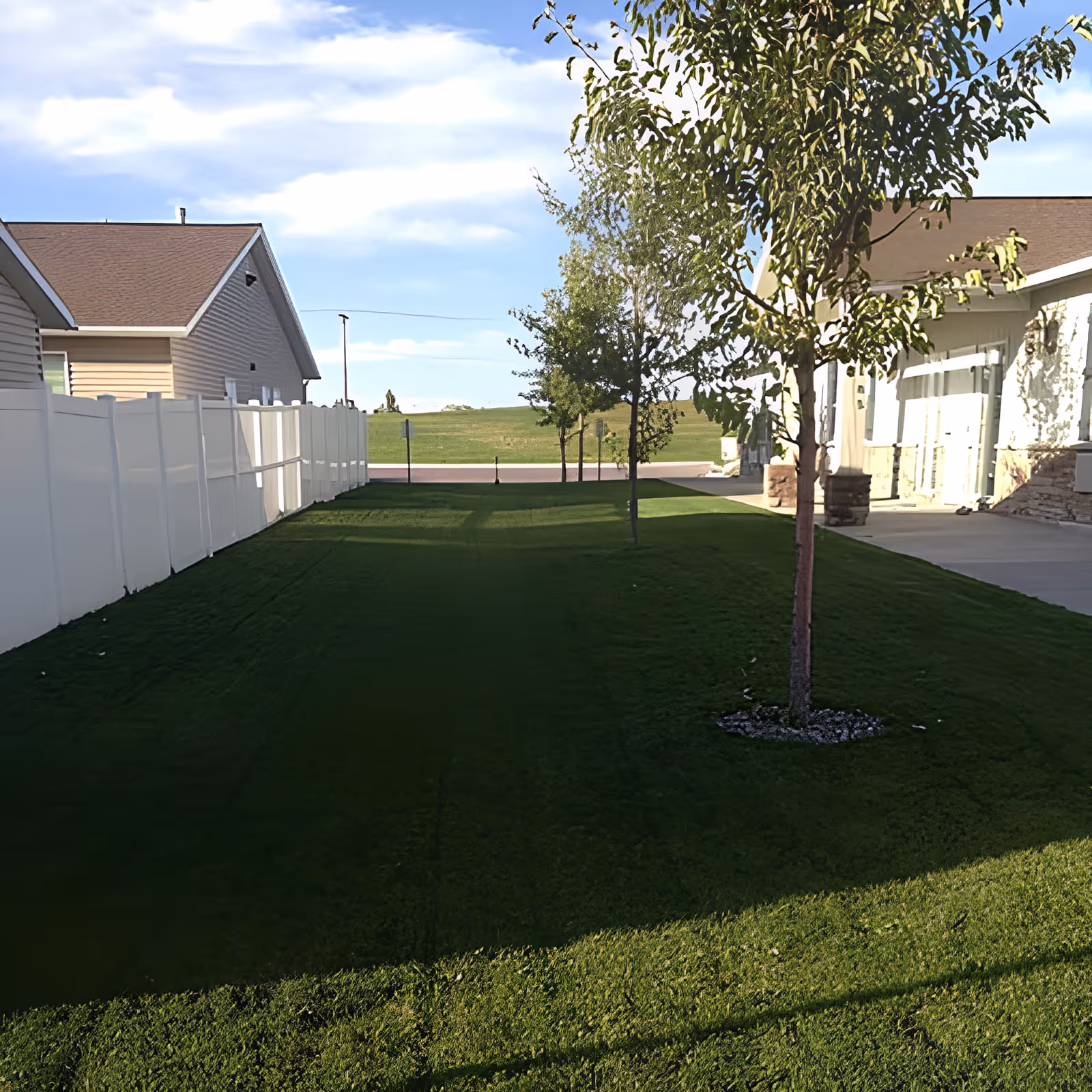 Grassy yard between two buildings with young trees, a white fence, and a clear blue sky.