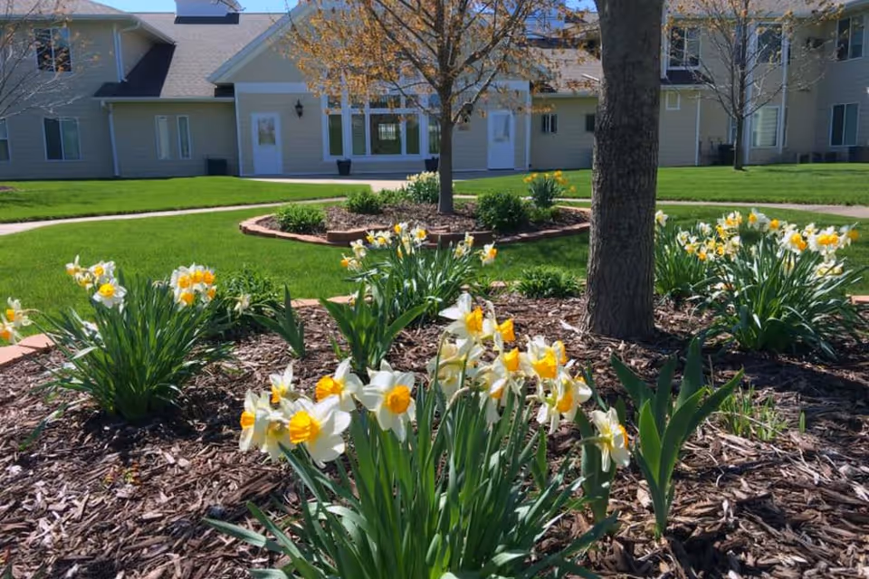 Landscaped front yard with blooming daffodils and a tree in front of an assisted living building.