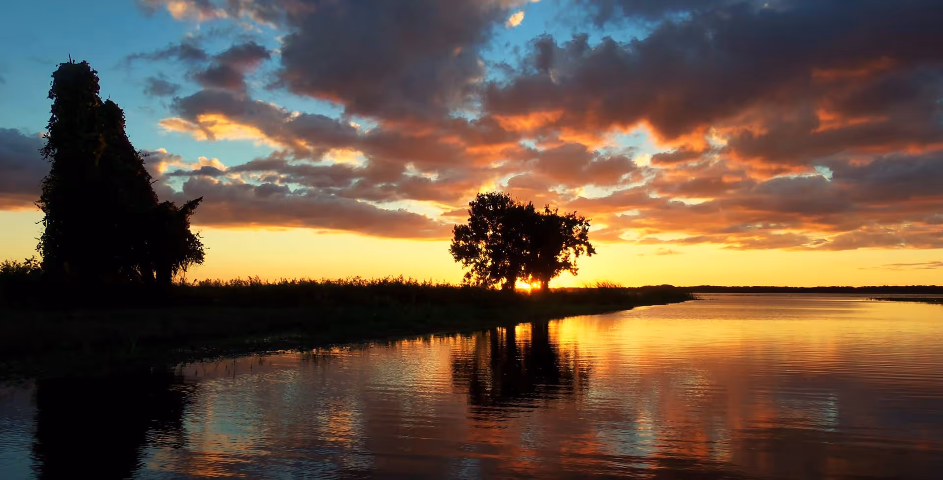 A serene sunset over a calm body of water with a tree silhouetted against the colorful sky filled with clouds reflecting on the water's surface.
