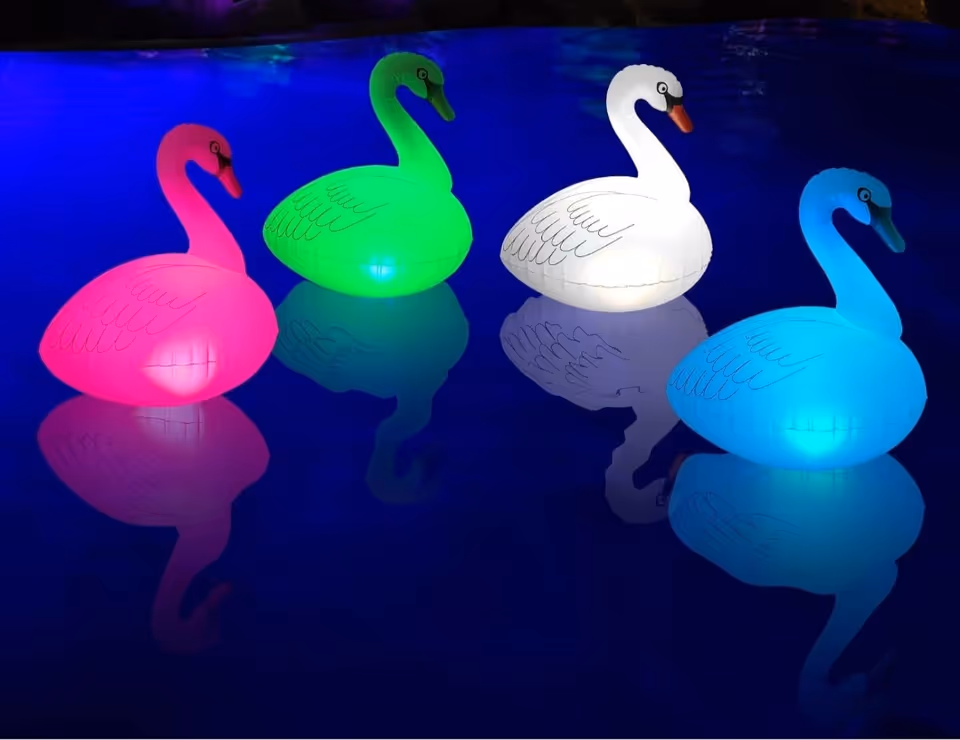 Four neon inflatable swans float on a dark water surface.