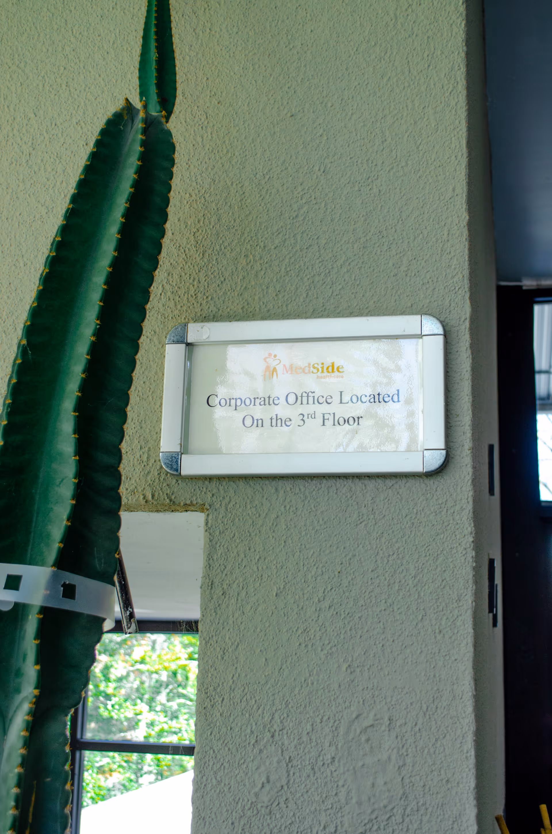 Tall cactus beside a wall with a MedSide corporate office sign on the third floor.