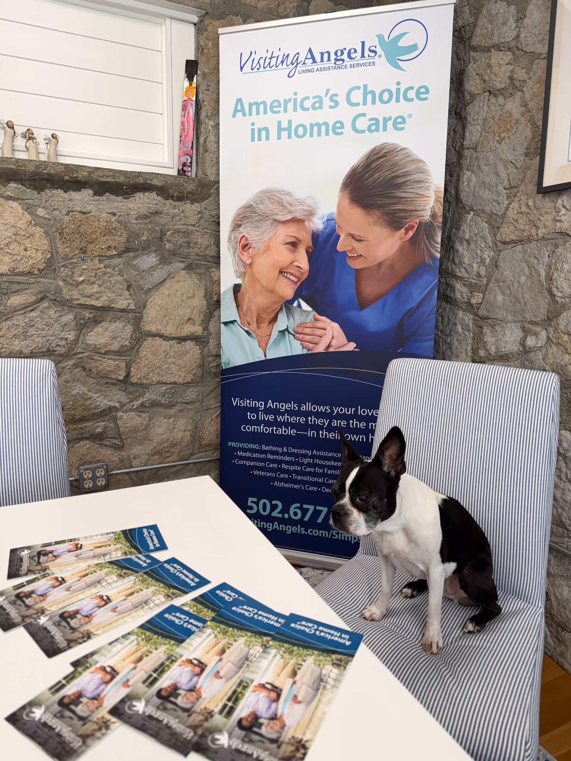 Banner advertisement beside a dog on a striped chair, with brochures on the table.