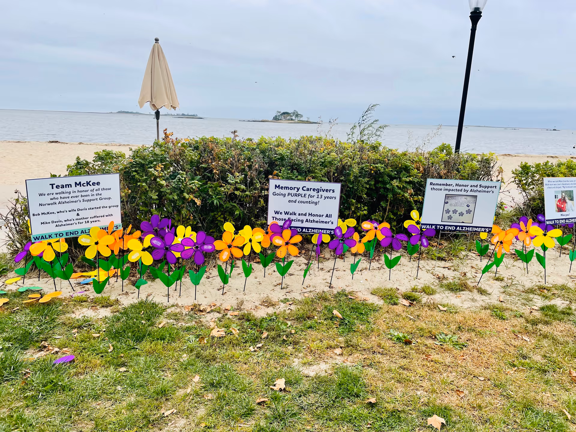 Outdoor beach scene with colorful pinwheel flowers and Alzheimer's awareness signs.