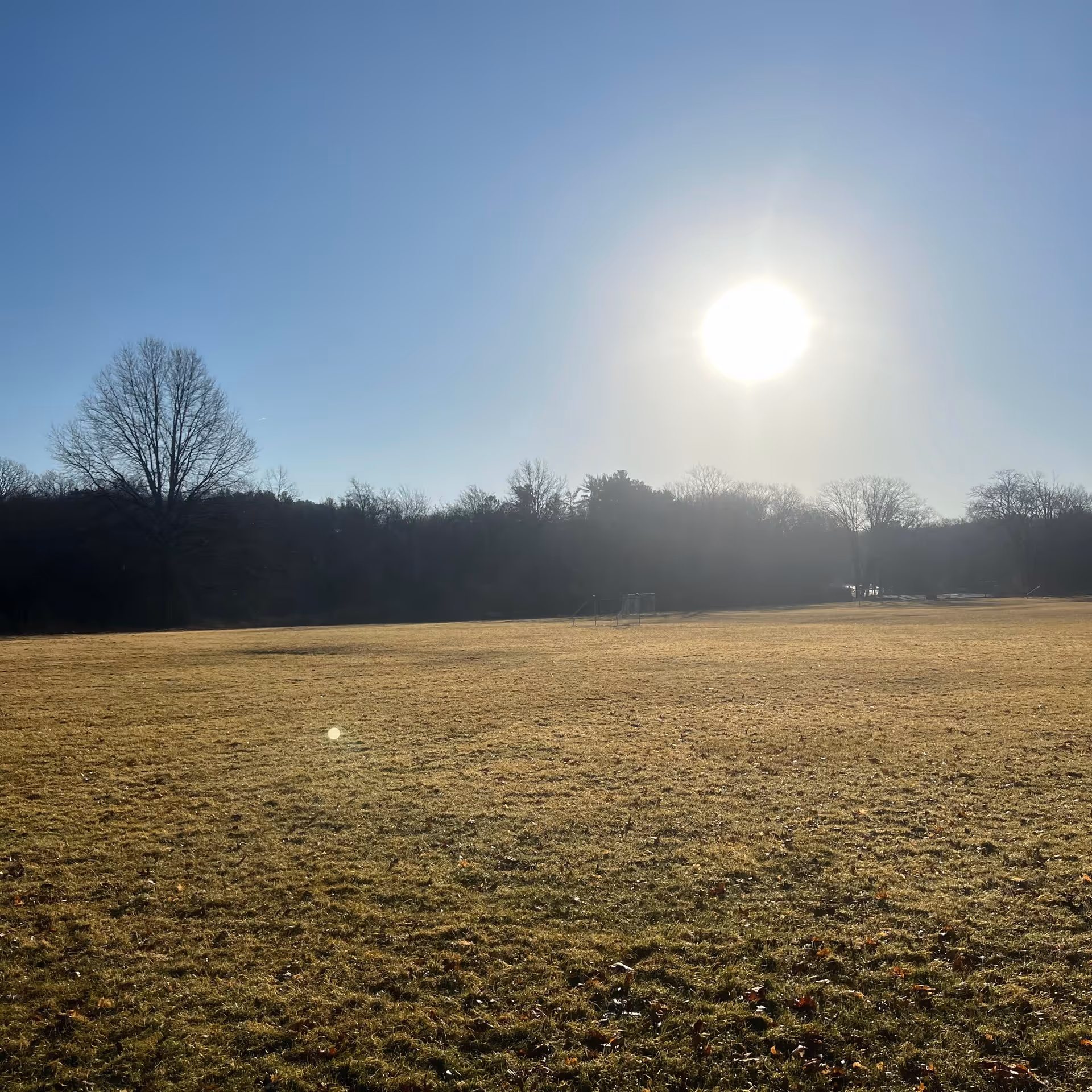 Bright sun over a wide grassy field with leafless trees along the distant treeline