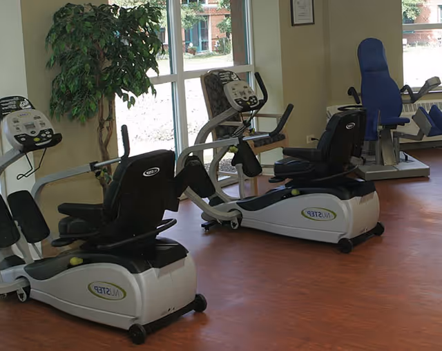 Indoor exercise room with several recumbent stationary bikes and other fitness equipment, large windows letting in natural light, and a potted plant near the window.