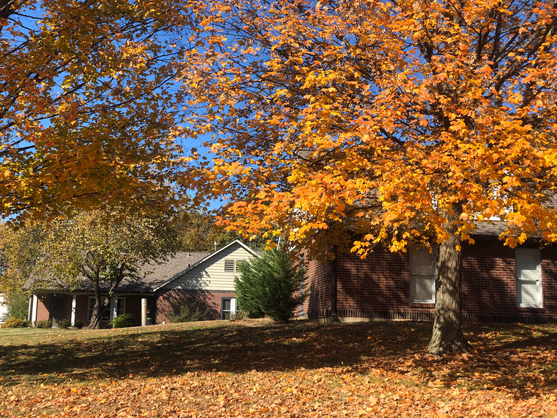 Exterior view of a brick and siding building partially obscured by trees with bright orange and yellow autumn leaves, with fallen leaves covering the ground under a clear blue sky.