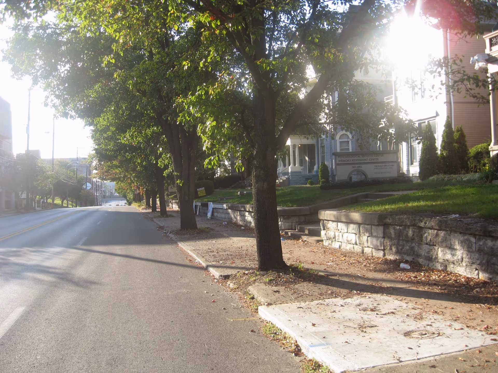 Tree-lined street with a sidewalk and a distant building facade.