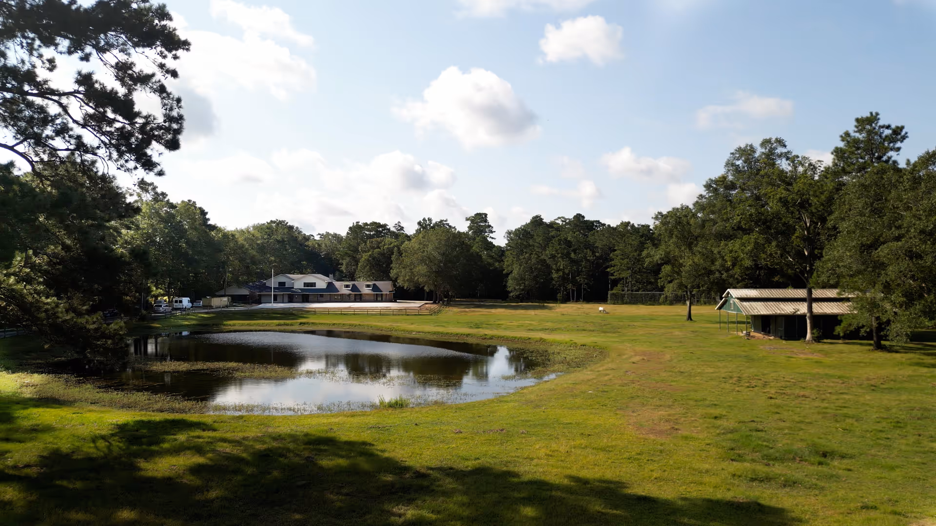 Wide view of a grassy field, pond, and trees with a distant building under blue sky.