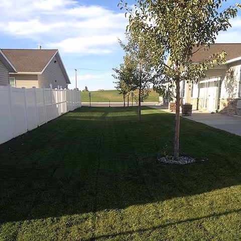 Outdoor yard with trees, a white fence, and a building along a sidewalk.