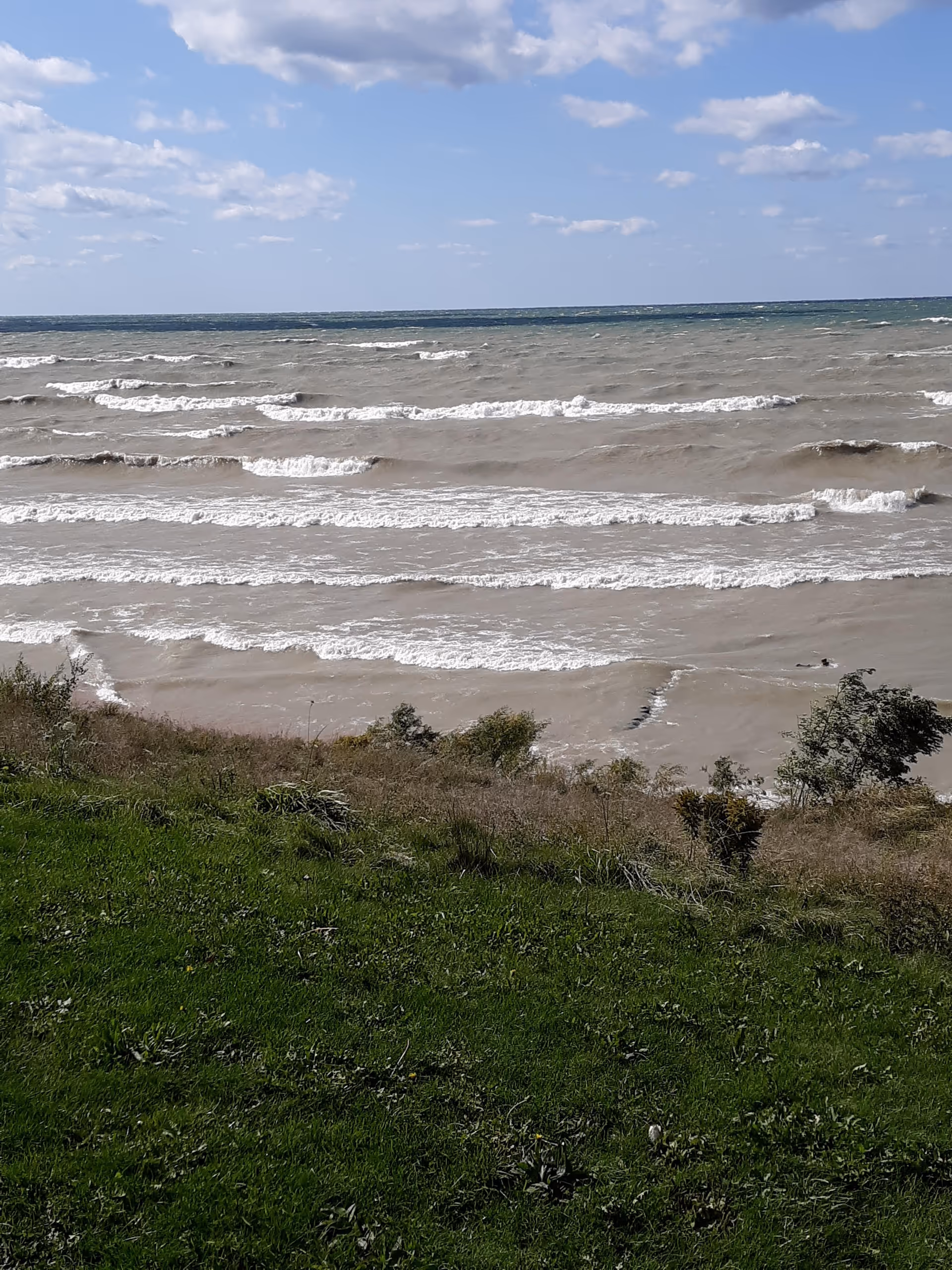 Coastal landscape featuring waves lapping a grassy shoreline beneath a partly cloudy blue sky.