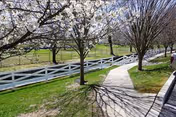 Sunny outdoor courtyard at Church of God Home with a white fence, path, and blooming trees.
