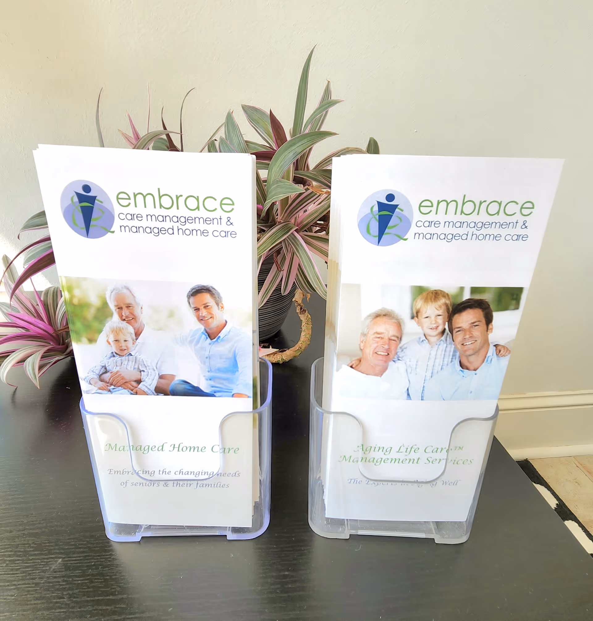 Two Embrace brochures in stands on a dark table beside indoor plants.