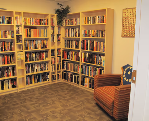 Small reading room with bookshelves filled with books and a striped armchair with a star-patterned cushion.