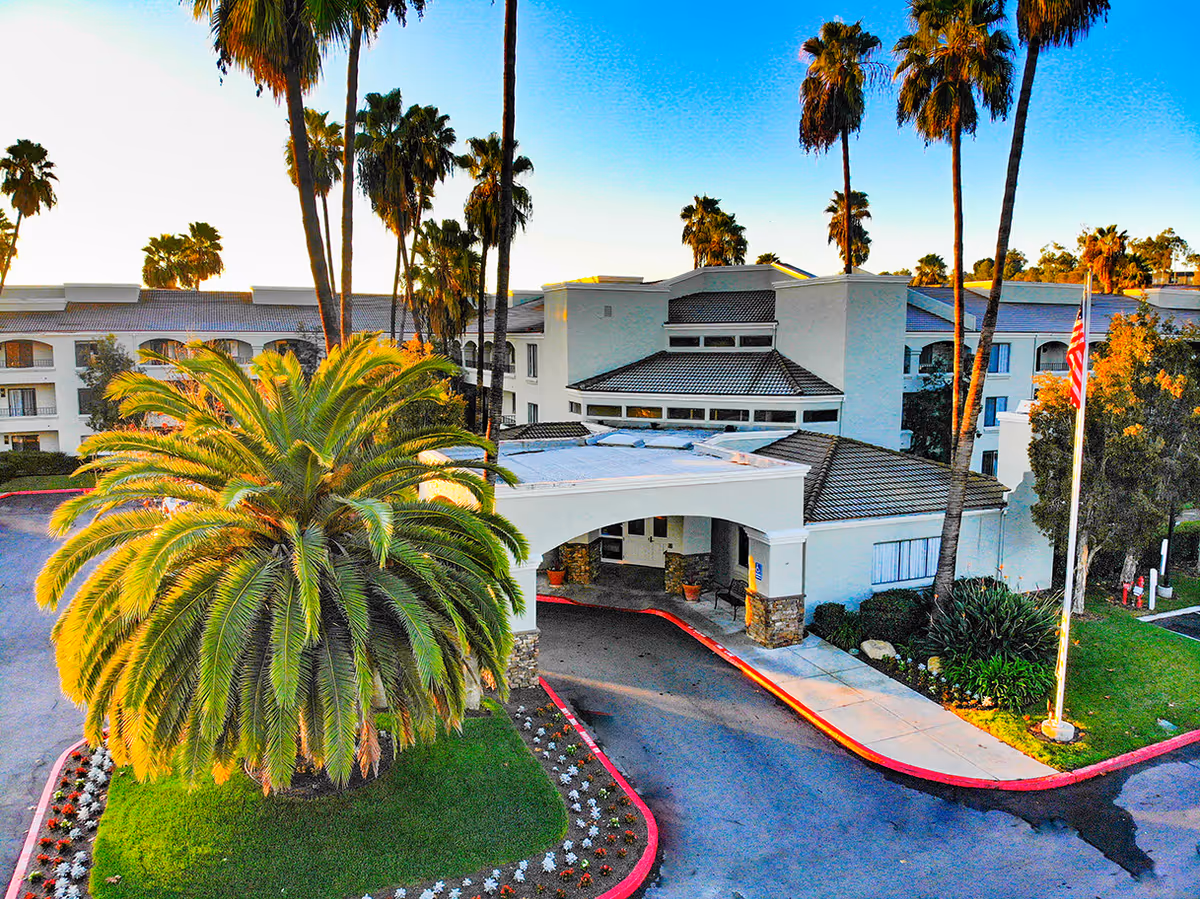 Exterior view of Las Villas Del Norte facility with a large palm tree in the foreground, a driveway leading to the entrance with a covered drop-off area, and several tall palm trees surrounding the building under a clear blue sky.
