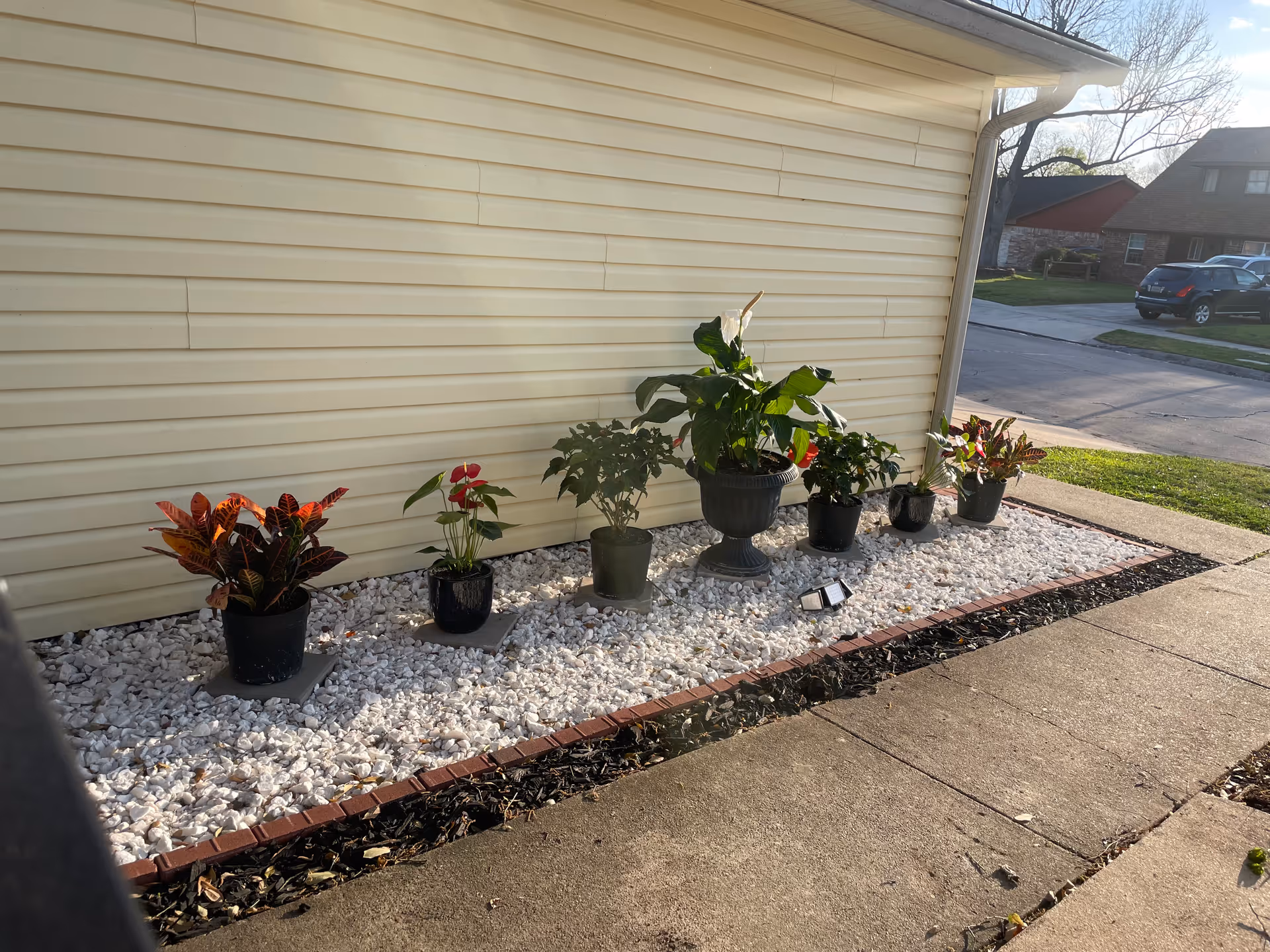 Exterior wall of a house with potted plants along a white gravel strip.