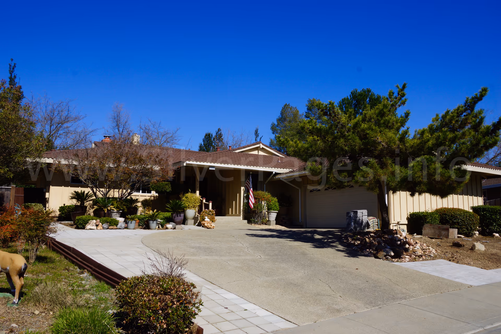 Front exterior view of Abigail's Guest Home with driveway, plants, and a dog nearby