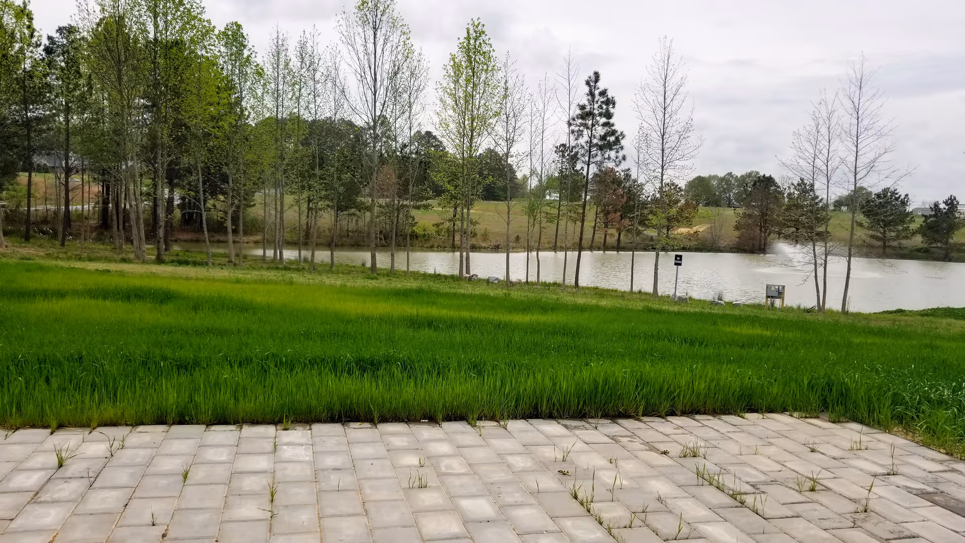 Paved patio leads to a grassy area and a pond surrounded by trees.