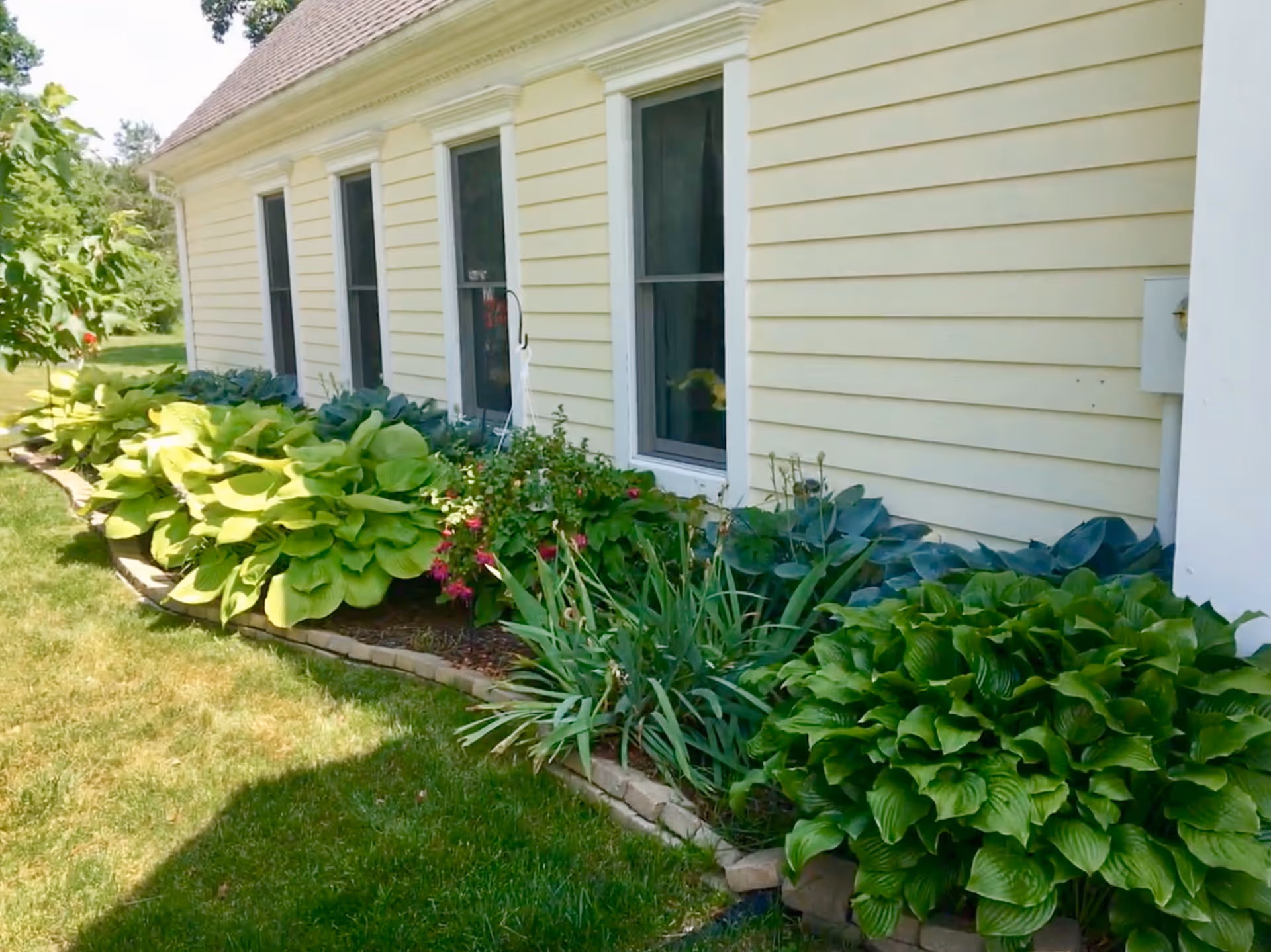 A well-maintained garden area with lush green plants and flowers along the side of a yellow building.