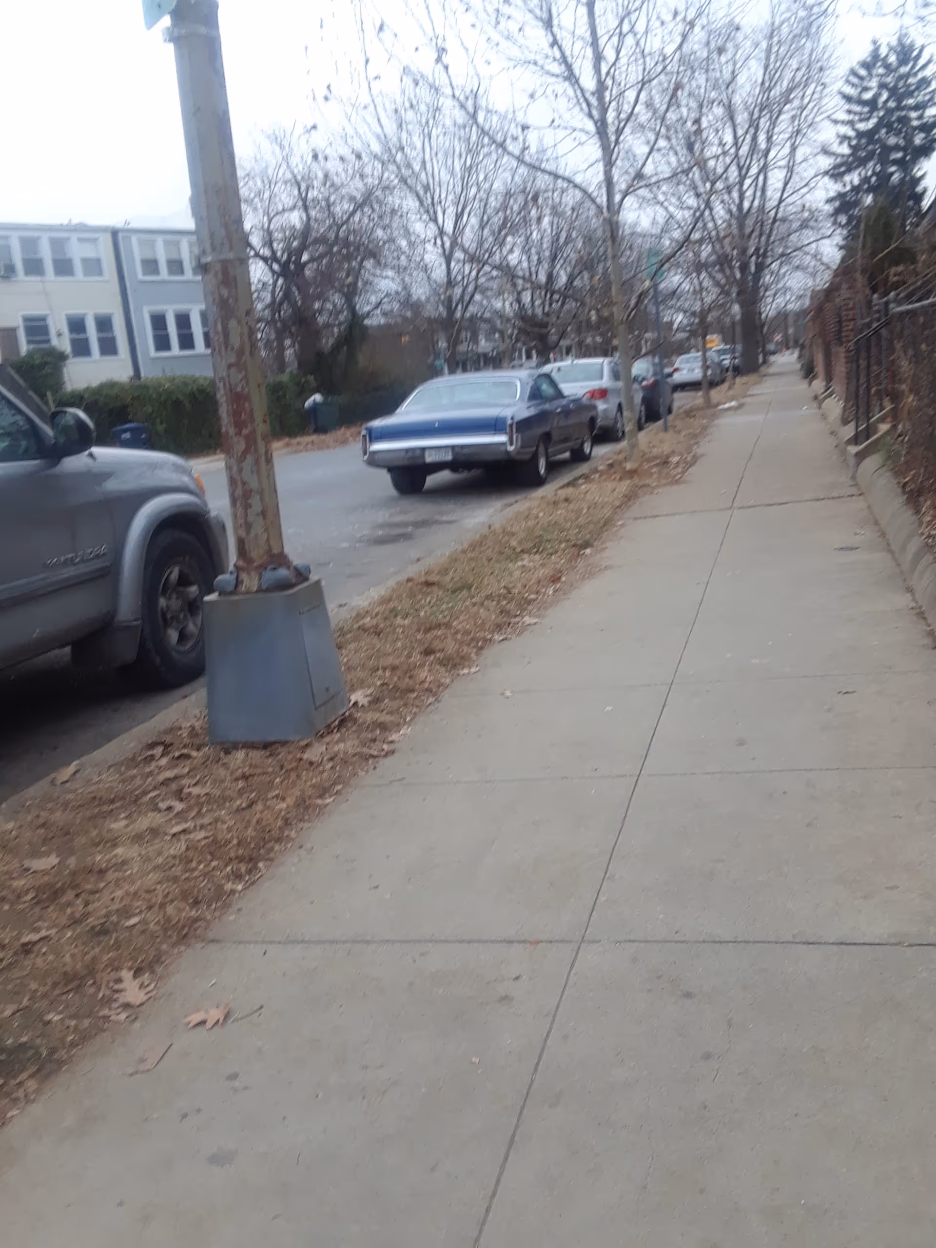 Sidewalk along a street with parked cars and leafless trees beside a building.