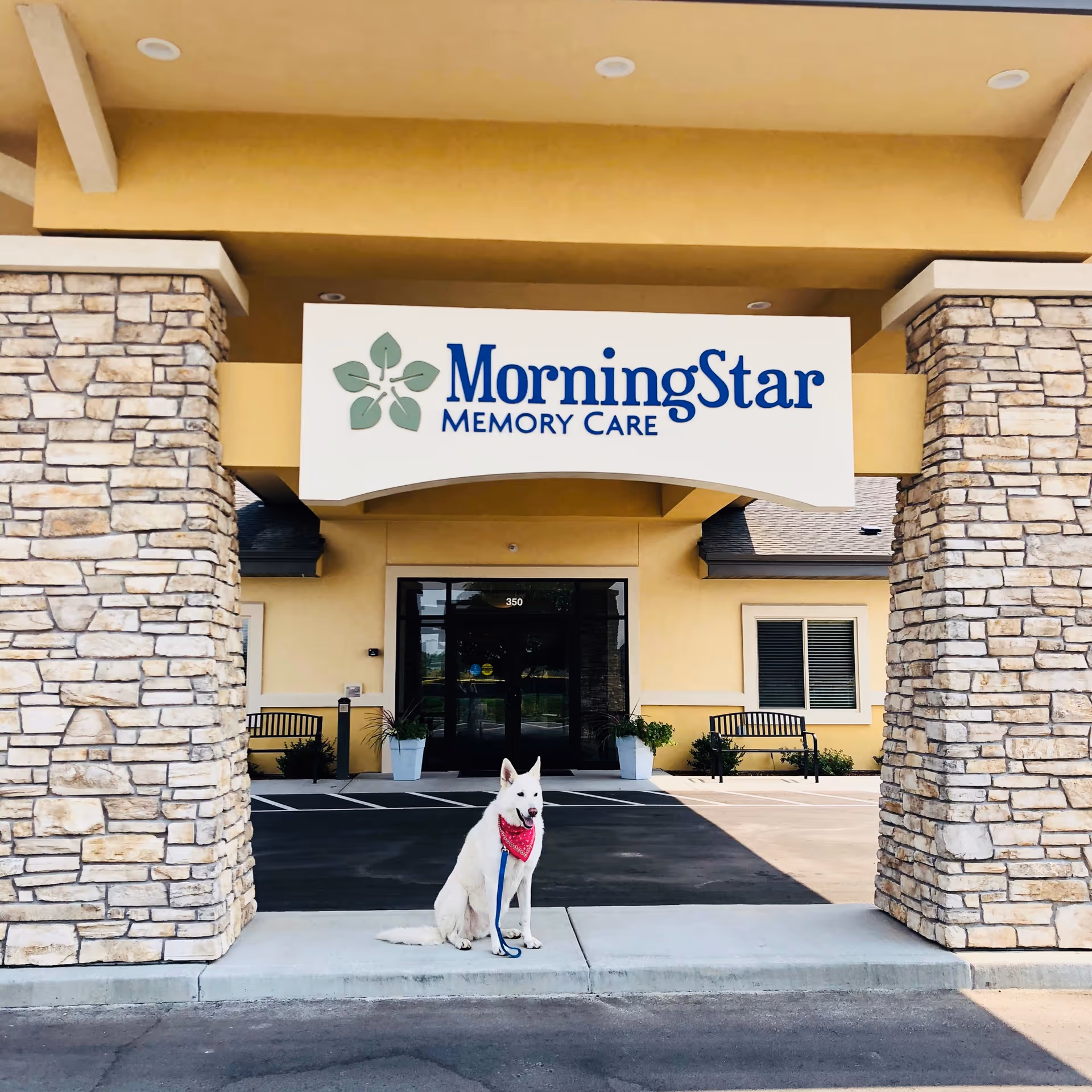 MorningStar Memory Care entrance with a white dog sitting outside near stone pillars.