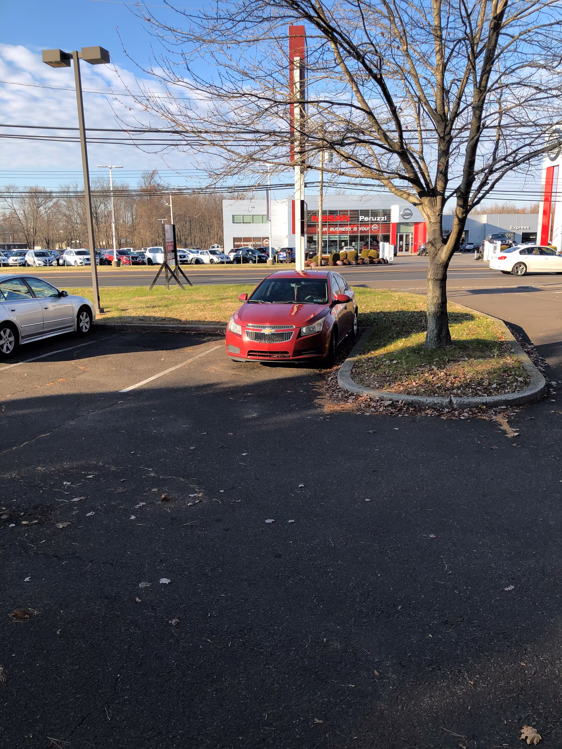 Parking lot in front of a building with a tree and several parked cars.