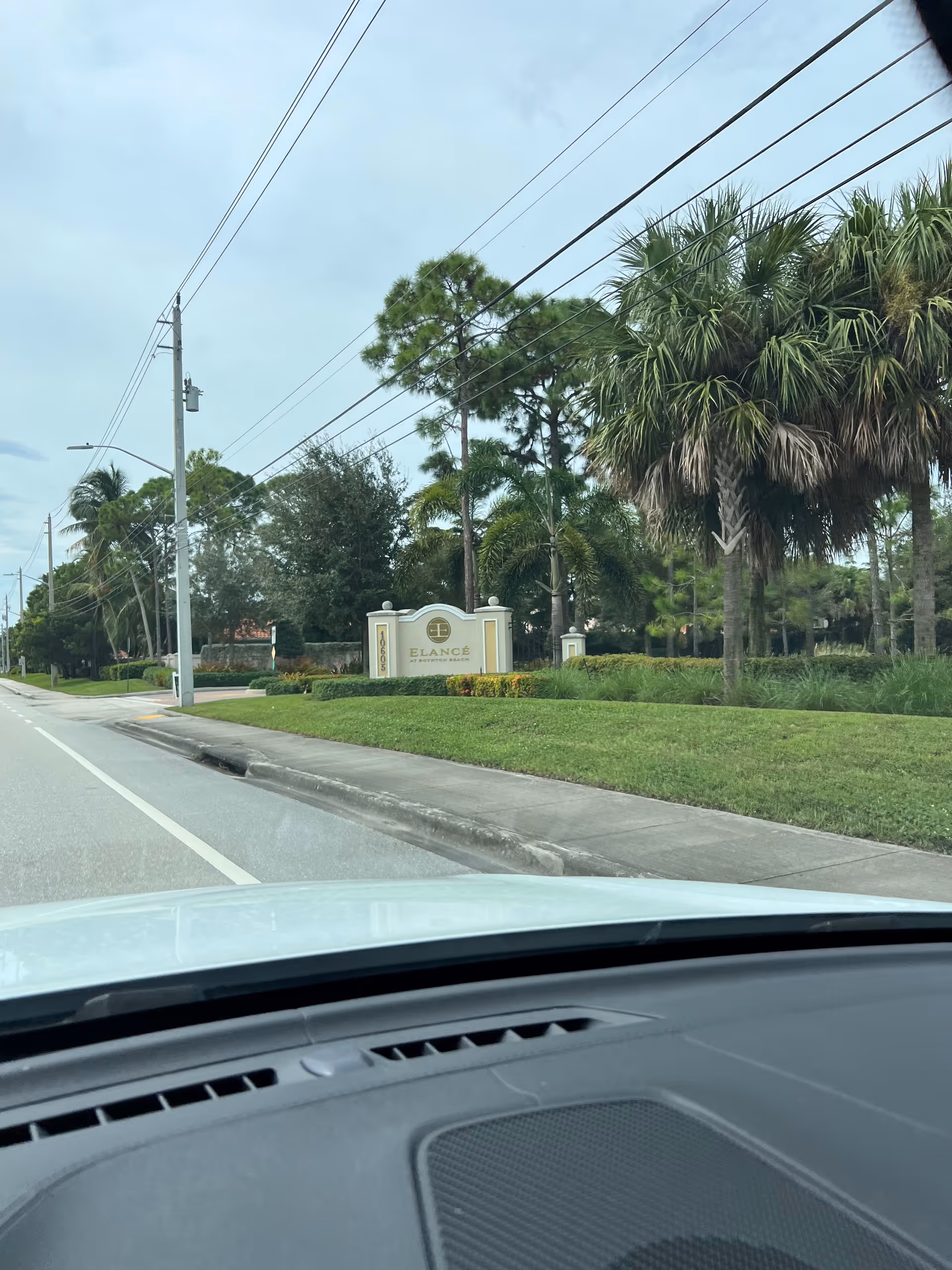 Roadside view of a senior living community entrance sign with palm trees and greenery.