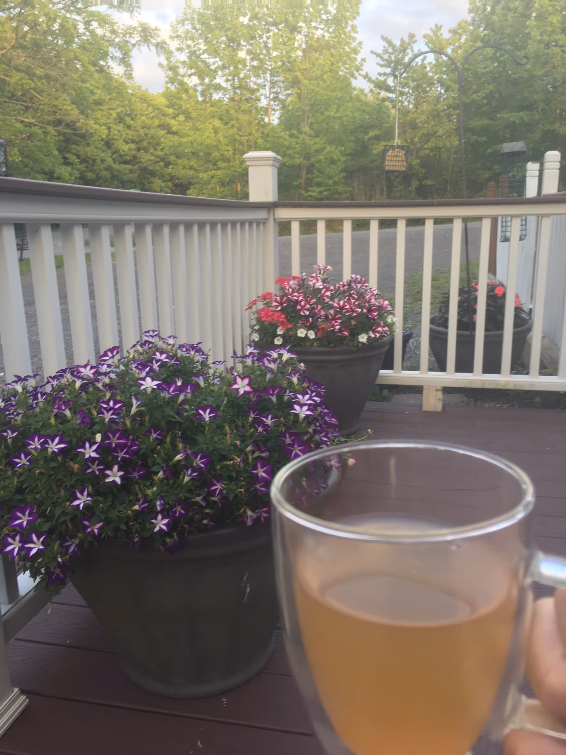 Outdoor deck with colorful flower pots and a glass mug in view.